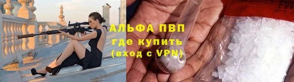 стаф Покровск