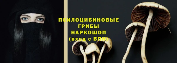 стаф Покровск