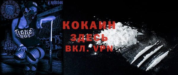 ALPHA PVP Покров
