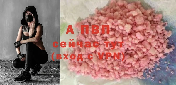 стаф Покровск