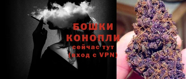 ALPHA PVP Покров